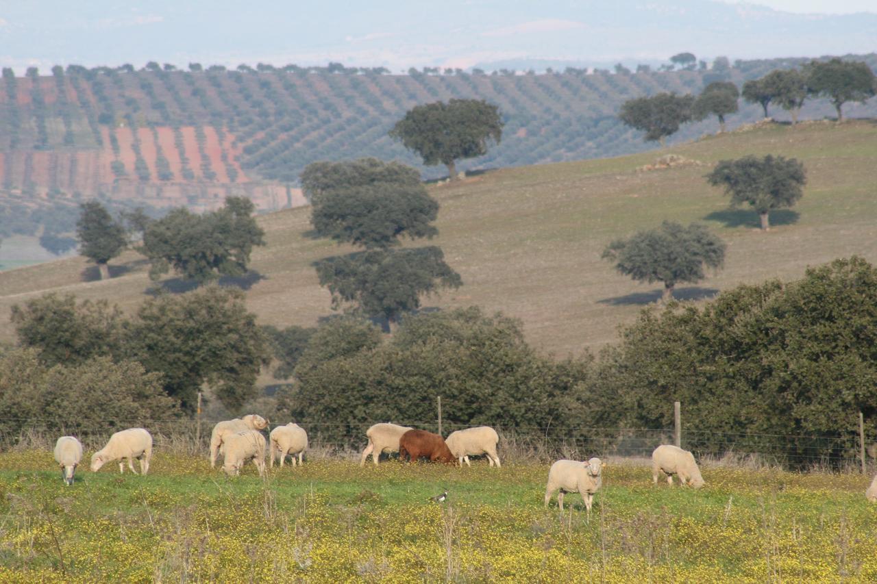 منزل الضيف كامبو مايور  في Monte Alto Agroturismo المظهر الخارجي الصورة