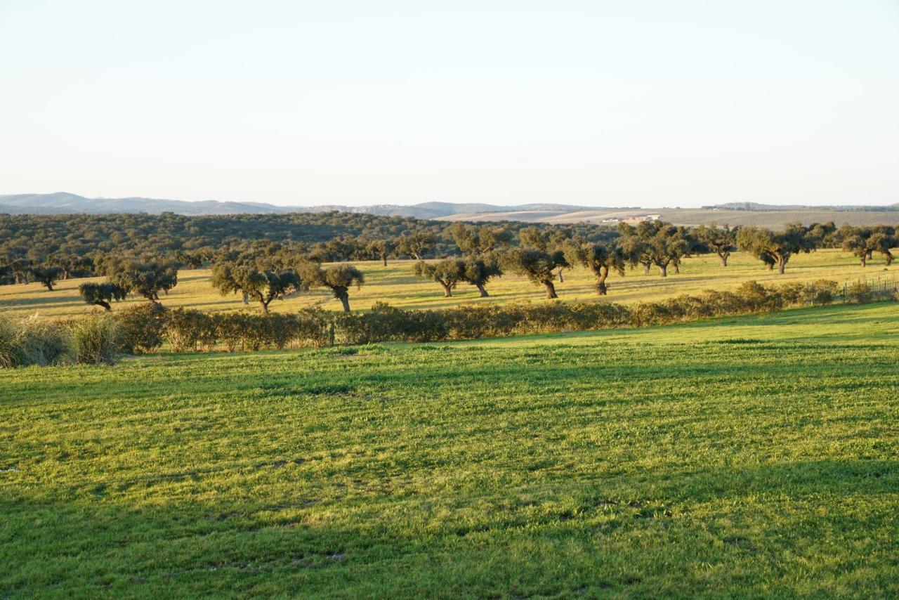 منزل الضيف كامبو مايور  في Monte Alto Agroturismo المظهر الخارجي الصورة